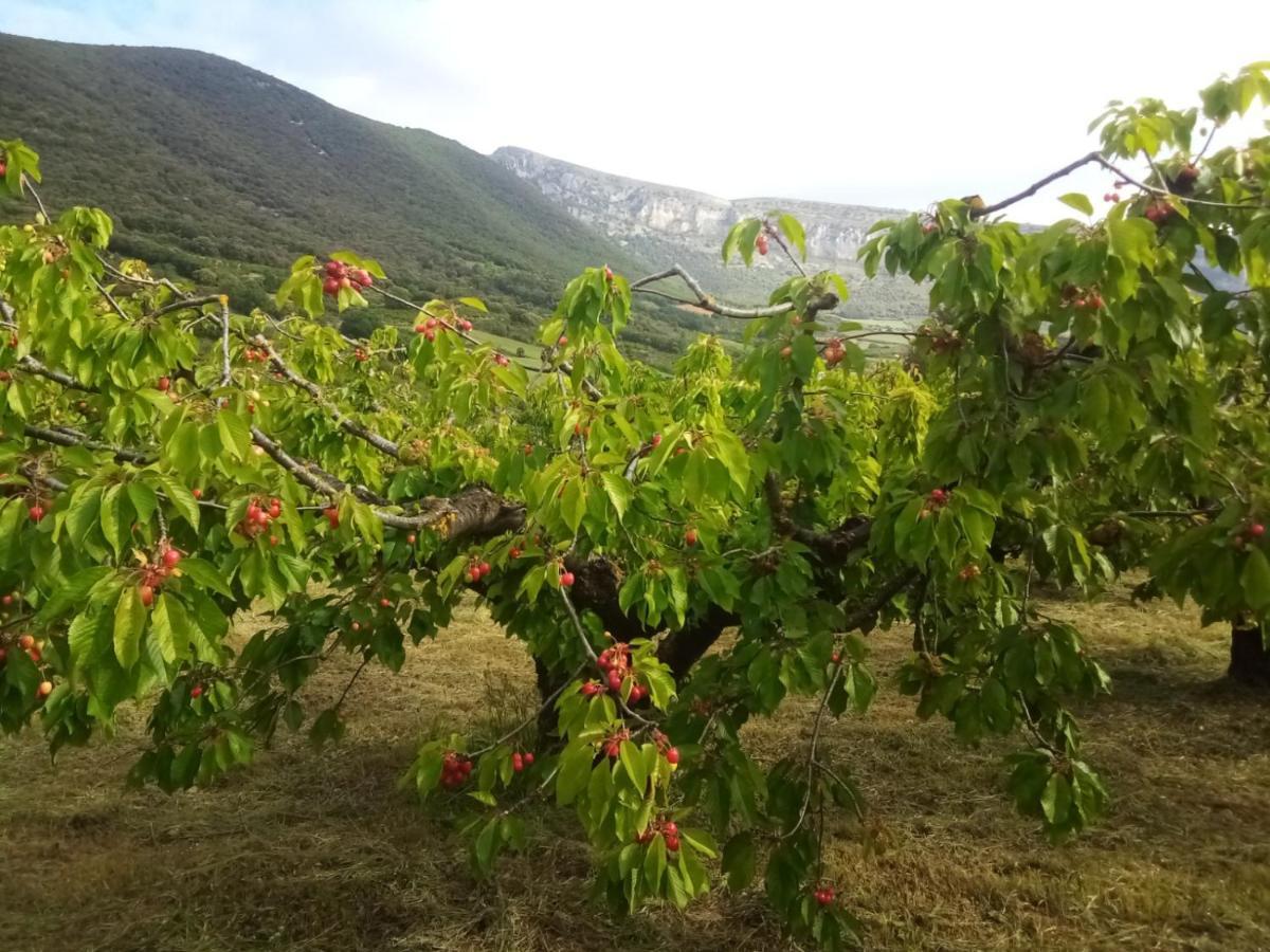 Casa Rural Ibarbegi II Lägenhet Vidaurreta Exteriör bild